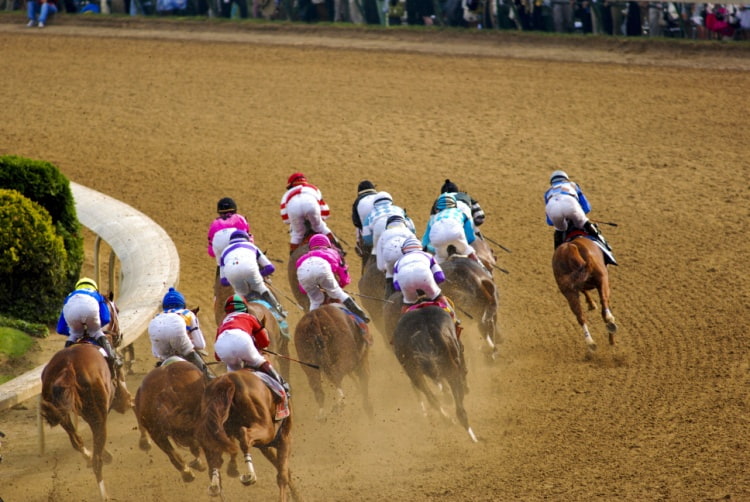 a group of horses race on a dirt track